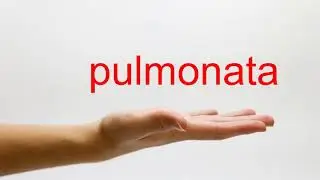 How to Pronounce pulmonata - American English