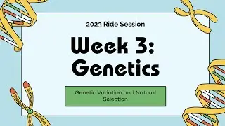 Genetics -  Genetic Variation and Natural Selection