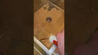 Кусочки в моем белке