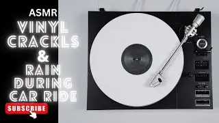 ASMR  | Vinyl Crackles | Rain | Sleep Sound