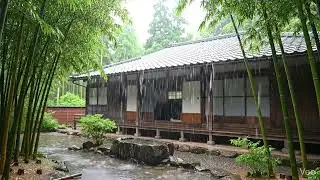 Ambiental  Bamboo Rain Bambus sub Ploaia de Vara