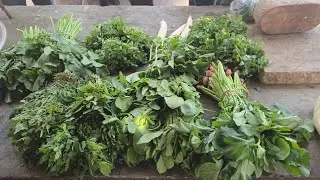 Satrangi saag  