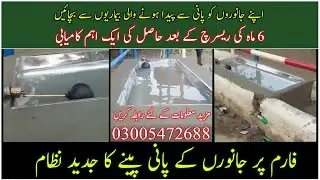 Automatic drinking water tub for animals|Neat & clean fresh drinking water for livestock|Fresh water