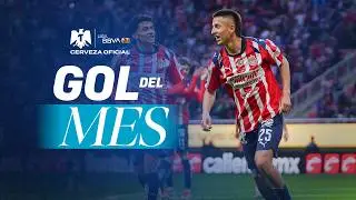 GRAN anotaci&oacute;n para el triunfo | El GOL DEL MES de enero es de Roberto Alvarado de Chivas