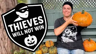 Allotment Thieves Won't Get THIS Harvest! | Allotment Gardening UK