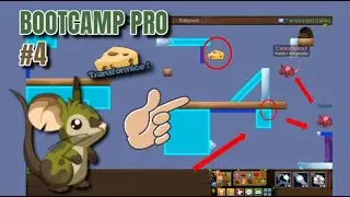 BOOTCAMP PRO #4 TRANSFORMICE