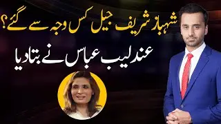Why did Shahbaz Sharif go to jail? Andalib Abbas