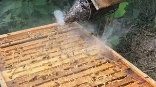 Wachsbrücken abkratzen