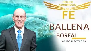 Hechos Asombrosos de Fe - Ballena Boreal - Doug Batchelor