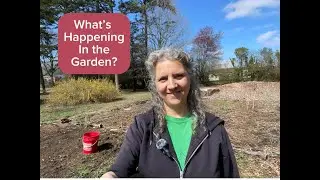 What's Happening in the Garden?
