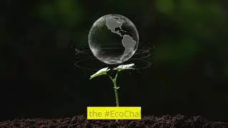 Stop Standby Energy Waste: Join the #EcoChallenge2023!