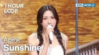 [1HR LOOP🔥] Apink - Sunshine [Music Bank] | KBS WORLD TV 260109