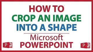 How To Crop A Picture Into A Shape In Microsoft PowerPoint | 365 |