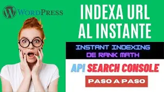 🚀 Como INDEXAR tu web r&aacute;pido en Google con la API de Search Console y plugin Instant Indexing ⚡️