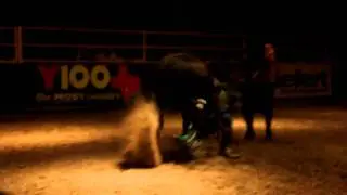 Bad Hombre & Daniel Keeping, Cowboys mini bucking bulls