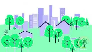 PATT Foundation - Green For Go