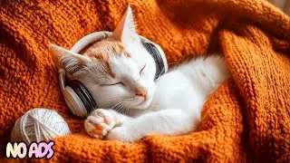 12 Hours Of Dreamy Calming Music for Cats 🐈 Deep Sleep Anxiety Relief Music 💤 No Ads