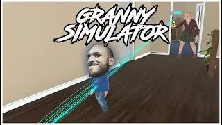 restt vs chat - Granny Simulator  │  100% WIN RATIO ??  │  subday#???