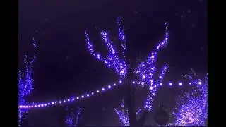 🔦”lightshow” Lil Gabby • Flint • Detroit • Ducko • FTOS Twan Type Beat, Prod. @L.AKross 