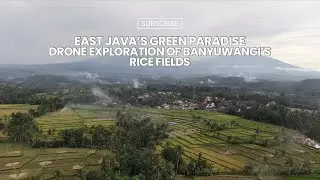 East Java&rsquo;s Green Paradise: Drone Exploration of Banyuwangi&rsquo;s Rice Fields