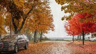 November Rain Ambiance, Rain Sounds for Relaxing