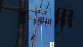 Function of D.O. Operating Rod | D.O. Rod | Insulating Rod | Drop Out Fuse Operation