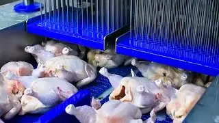 Food Industry Machines That Are At Another Level - Trending Tools