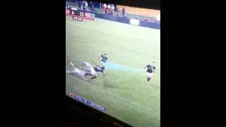 Nizaam carr springbok debut