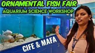 ORNAMENTAL FISH FAIR | AQUARIUM SCIENCE WORKSHOP | ICAR-CIFE | MAFA AQUARIUM FISH EXHIBITION | FISH