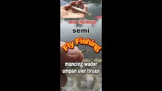 #flyfishing exory pavilion 6,7,8,  serunya mancing wader umpan bulu ayam!