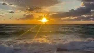 Miami Beach Sunrise, Gentle Lapping Wave Sounds for Sleep, Study | Ocean Sunrise Soothing Waves