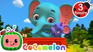 🐘Opposites Friend Song🐭 + More! | CoComelon - JJ's Animal Time | Learning & Song Playground