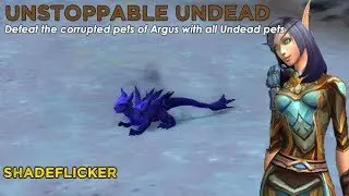 Shadeflicker - Undead team