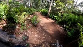 Big Chook, Blue Tier - Tasmania