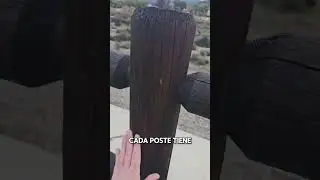 Santa Clarita River 