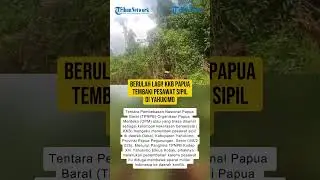 Berulah Lagi! KKB Papua Tembaki Pesawat Sipil di Yahukimo