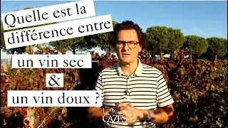 Quelle est la diff&eacute;rence entre un vin sec et vin doux ? - La Minute Cazes 15