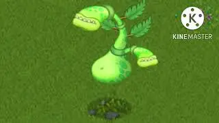 Air island earrape with cursed msm images