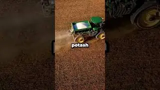 Potash Uncovered: Nature's Potassium Powerhouse #shorts