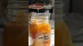 🍋Fermented Lemon Ginger Honey Recipe ✨ #shortsfeed #fermentation #honey #recipe #shorts