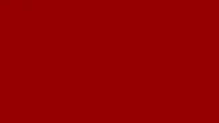 Color Rufous, #a30000