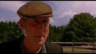 Babe 1995 herding ￼