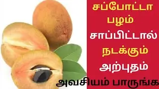 சப்போட்டா பழத்தின் ரகசியம் தெரியுமா?/Amazing Health Benefits of Sapota in Tamil/Chikoo/Sapota