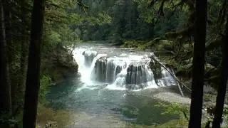 Lower, Middle, & Upper Lewis Falls & Copper Creek Falls, Gifford Pinchot National Forest, Washington