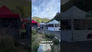 Laguna Beach Farmers Market - What A Chef Shops For 👩🏼&zwj;🍳 #farmersmarket #lagunabeach #citrus