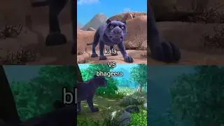 Bagheera vs kala