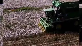 新疆棉花，从泥土里长出的云。Xinjiang cotton, cloud growing from the soil.