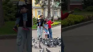Парк 28 Героев Панфиловцев.  Almaty city tour. Один день из жизни города. Весна в Алматы #almaty