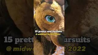 15 pretty cool fursuits from mff2022! #fursuits #fursuiters #furries #furryfandom #midwestfurfest