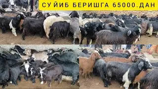 САРИОСИЁ ПАЙШАНБА САРКА ЭЧКИ БОЗОРИ